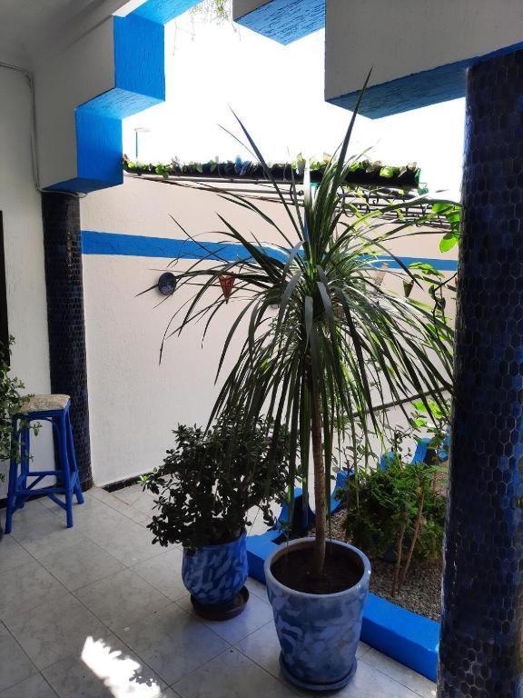 Maison D Hotes Marine Ksar Sghir Exterior photo