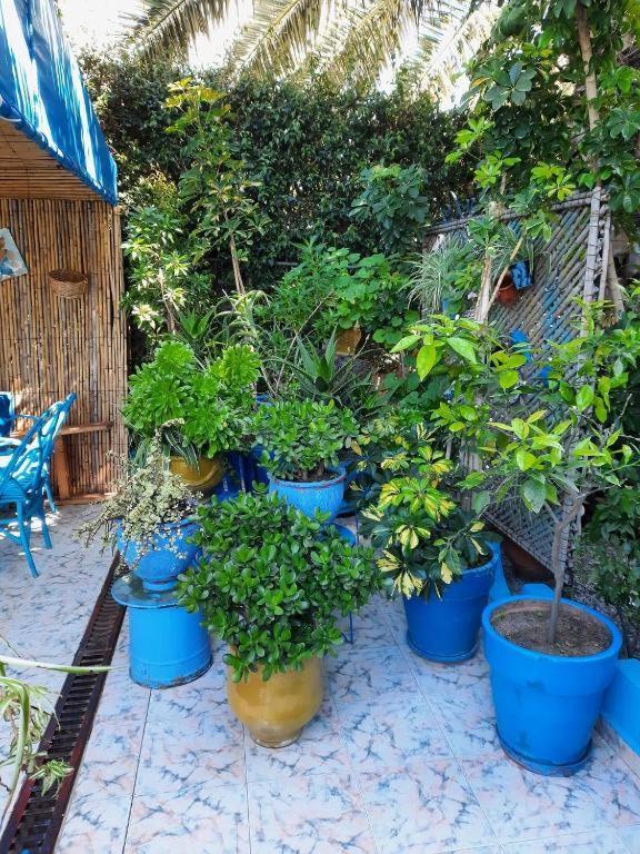 Maison D Hotes Marine Ksar Sghir Exterior photo