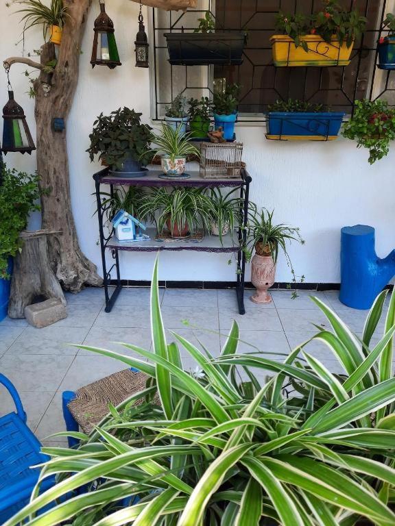 Maison D Hotes Marine Ksar Sghir Exterior photo