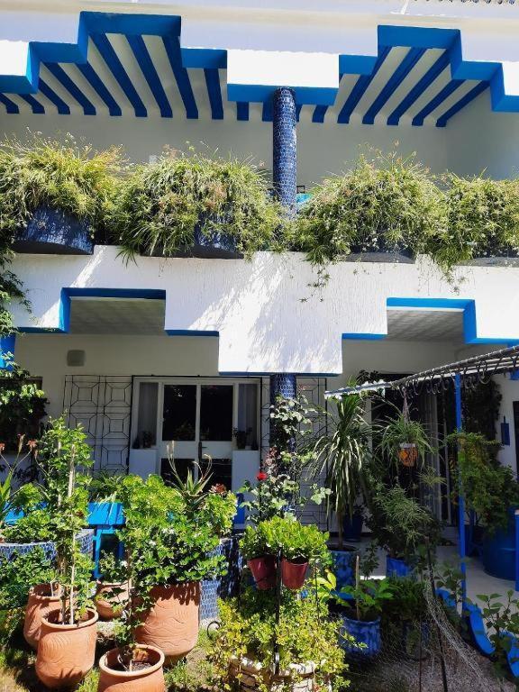 Maison D Hotes Marine Ksar Sghir Exterior photo