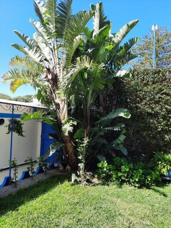 Maison D Hotes Marine Ksar Sghir Exterior photo