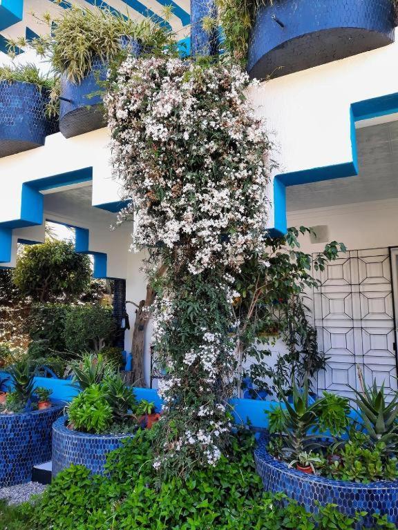 Maison D Hotes Marine Ksar Sghir Exterior photo
